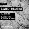 INSANE DUB EP – DAME-016